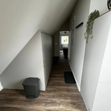Taubenschlag *